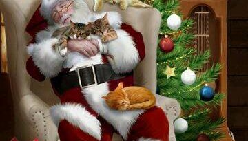 Santa sleeping with kittens